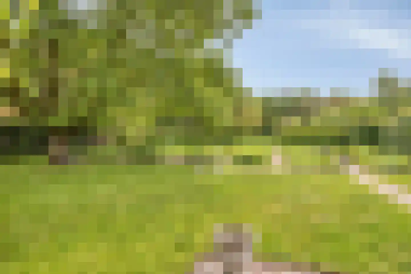 Oude Domburgseweg 50 Oostkapelle thumbnail 35