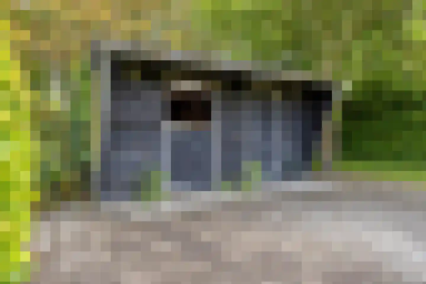 Oude Domburgseweg 50 Oostkapelle thumbnail 38