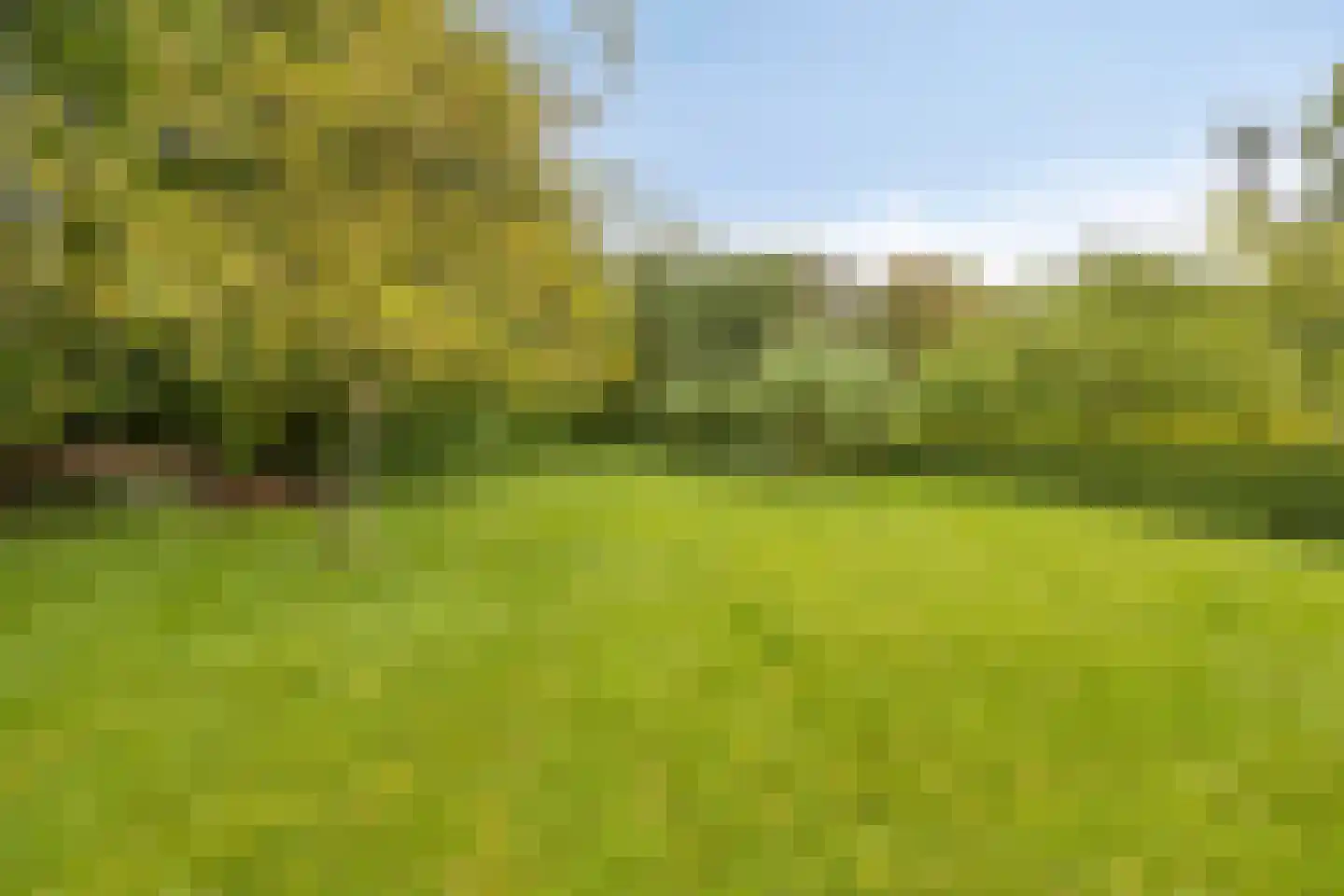 Oude Domburgseweg 50 Oostkapelle thumbnail 40