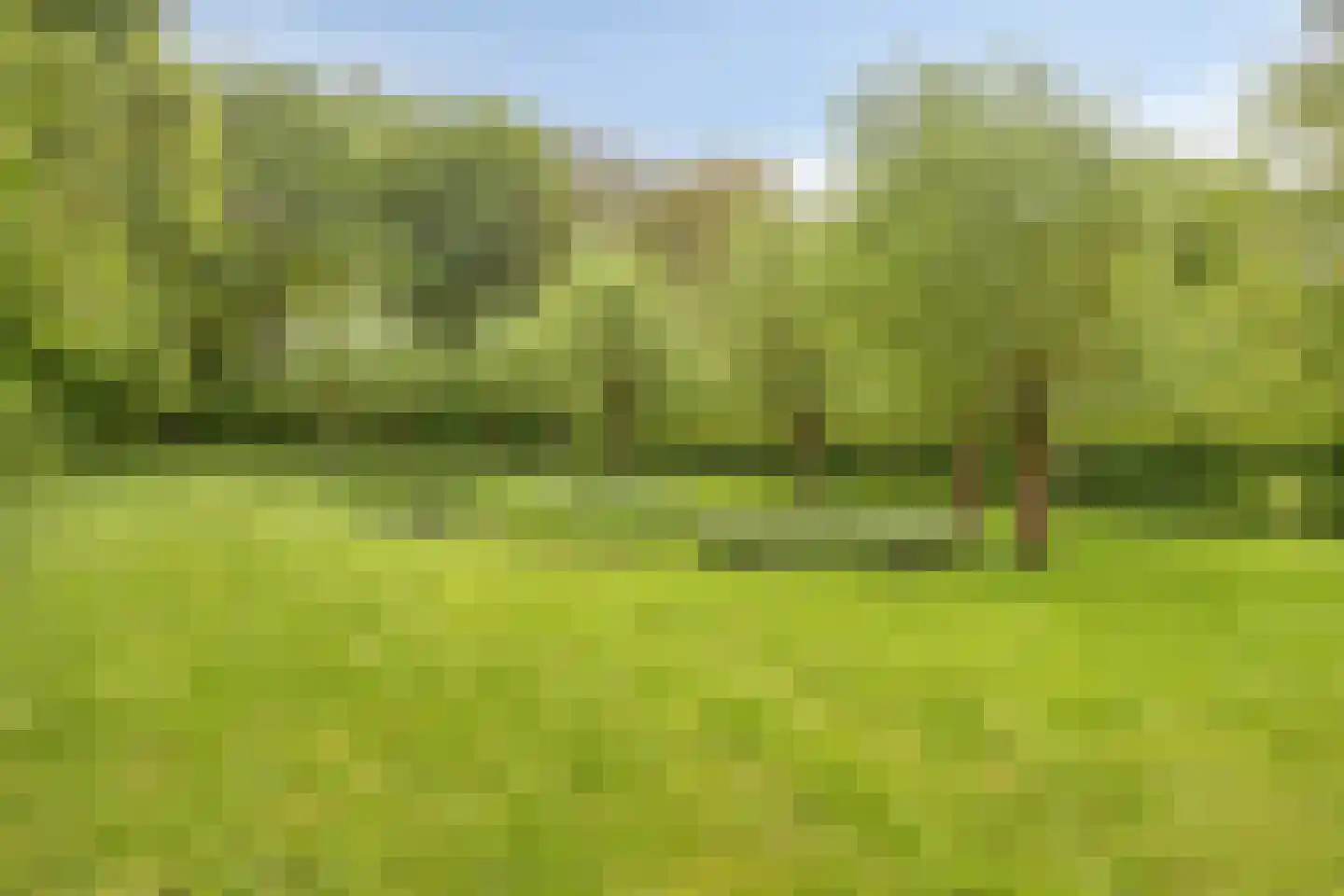 Oude Domburgseweg 50 Oostkapelle thumbnail 41