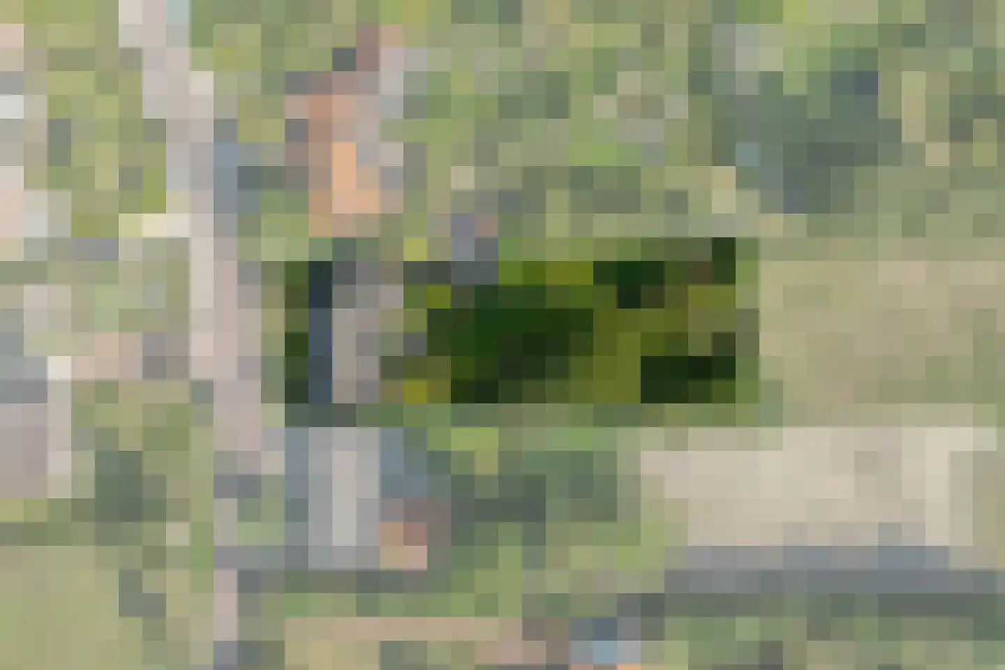 Oude Domburgseweg 6 Oostkapelle thumbnail 12