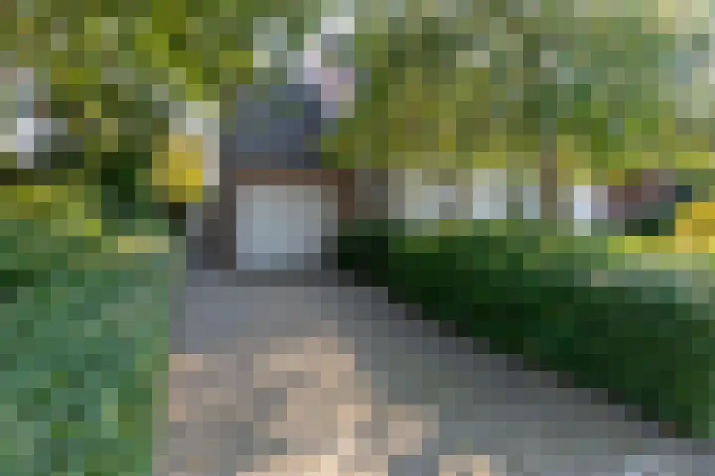 Oude Domburgseweg 6 Oostkapelle thumbnail 13