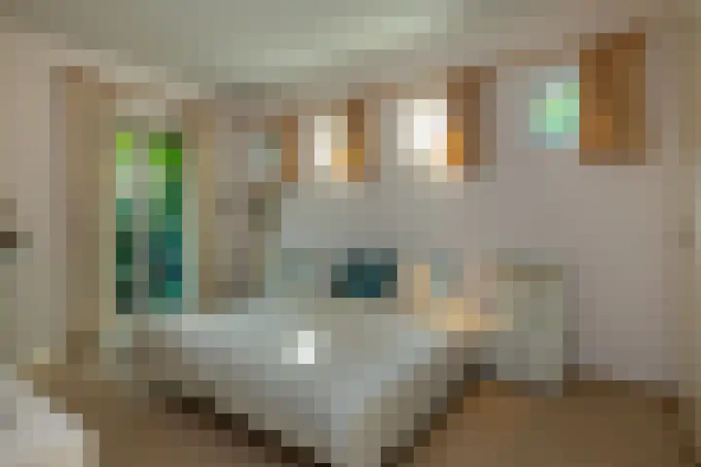 Oude Domburgseweg 6 Oostkapelle thumbnail 30