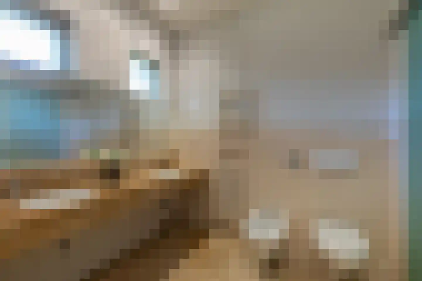 Oude Domburgseweg 6 Oostkapelle thumbnail 35