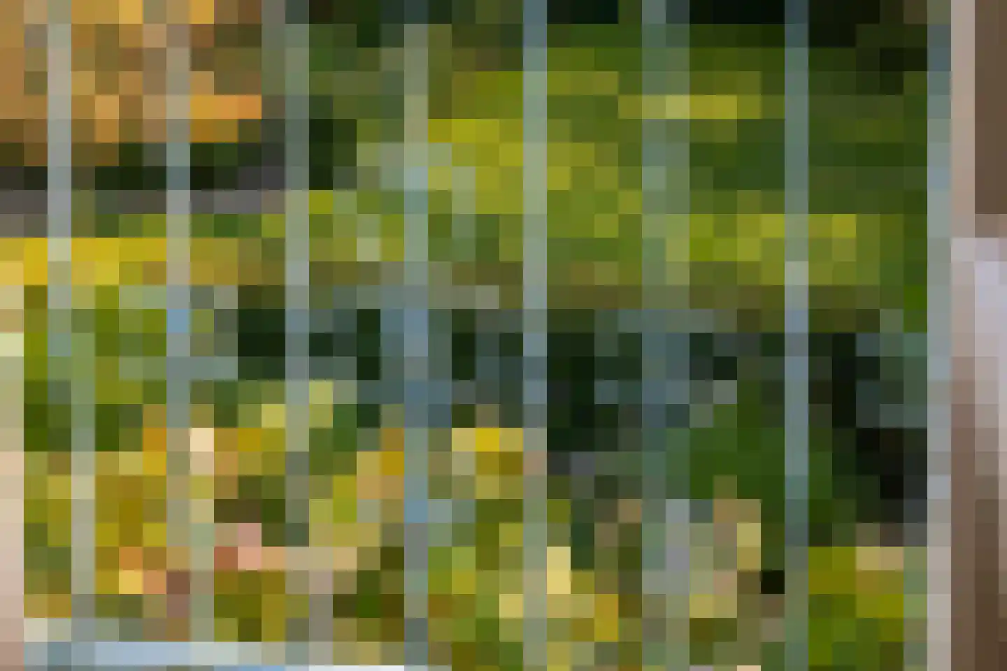 Oude Domburgseweg 6 Oostkapelle thumbnail 38