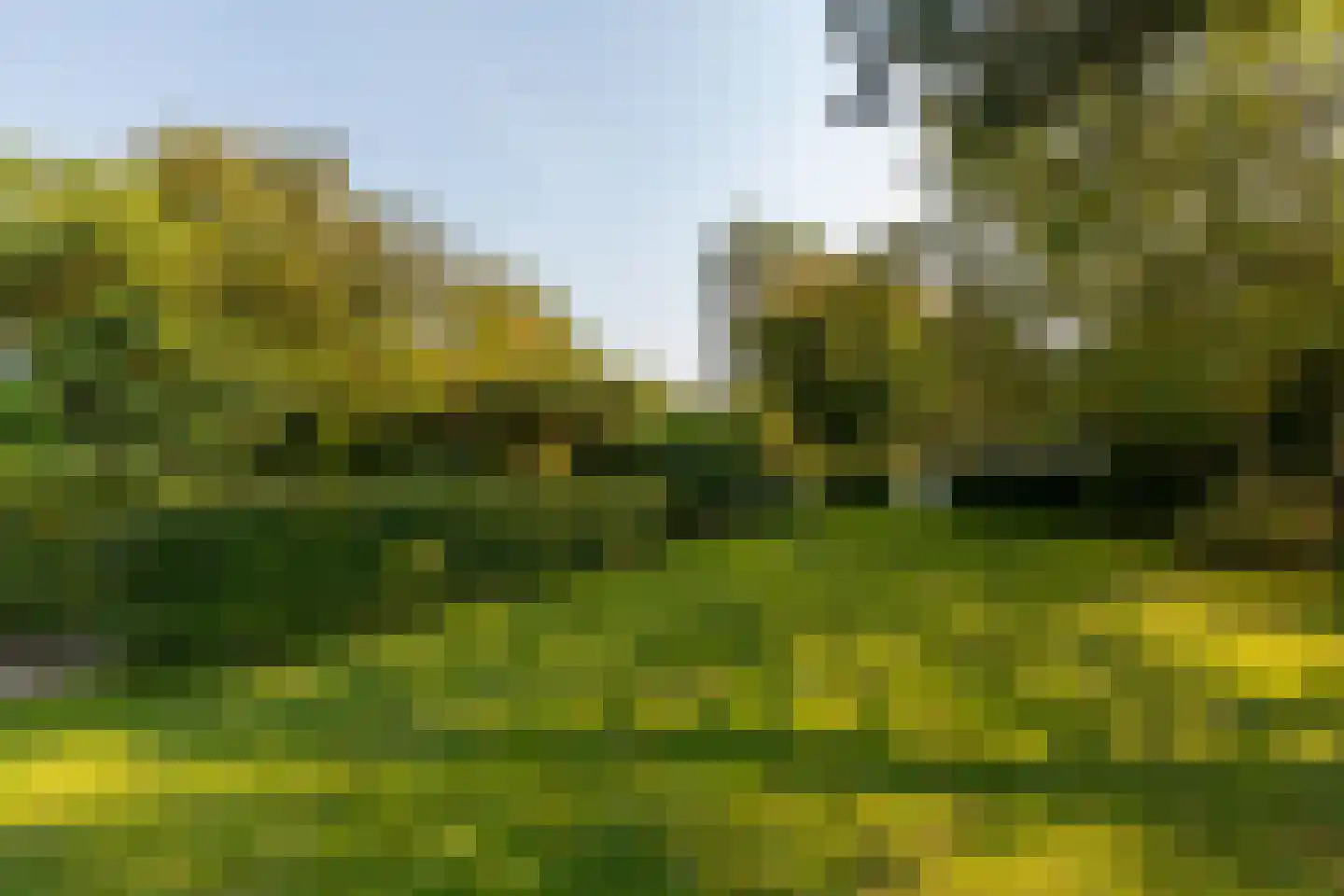 Oude Domburgseweg 6 Oostkapelle thumbnail 4