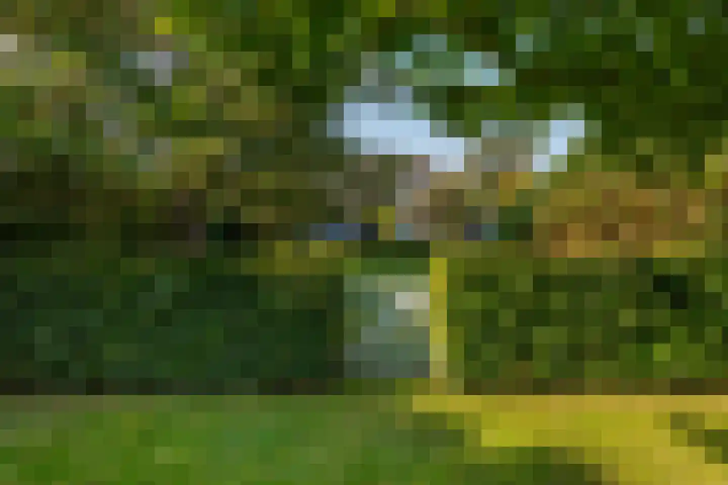 Oude Domburgseweg 6 Oostkapelle thumbnail 5