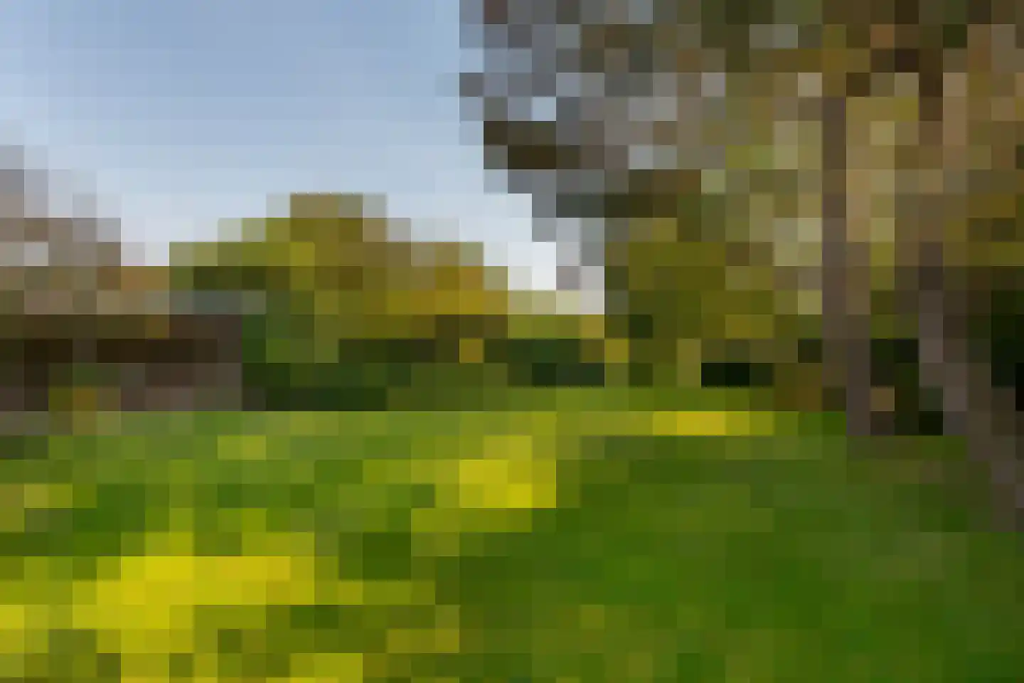 Oude Domburgseweg 6 Oostkapelle thumbnail 57
