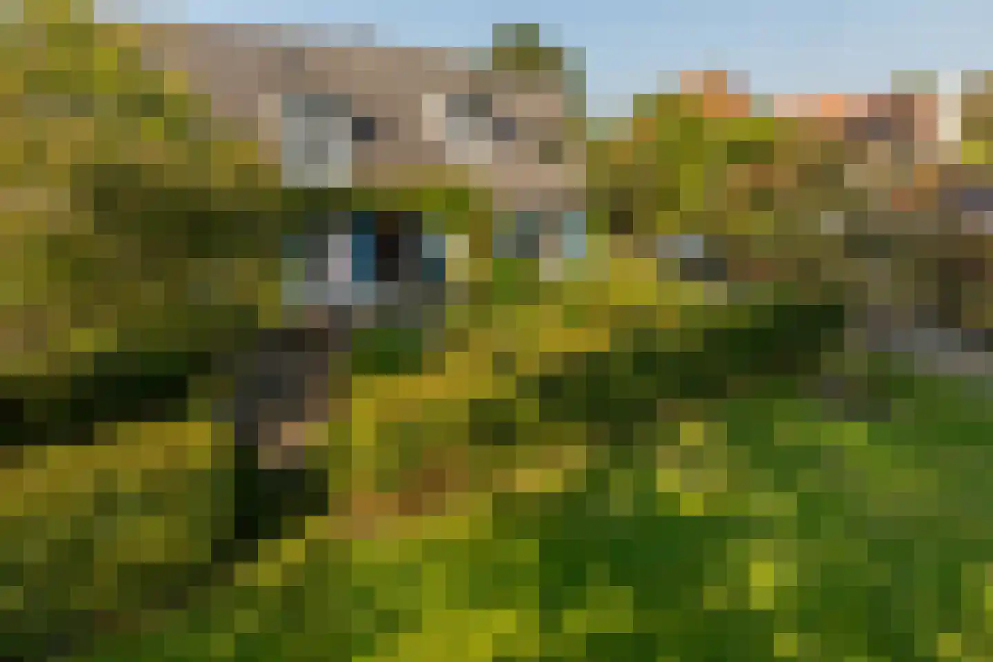 Oude Domburgseweg 6 Oostkapelle thumbnail 60