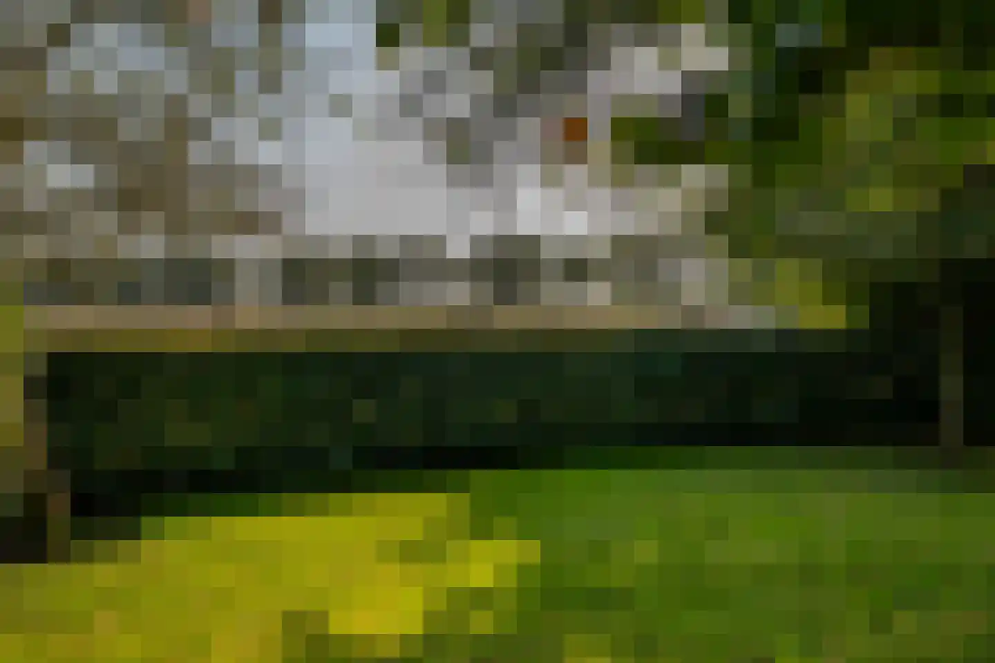 Oude Domburgseweg 6 Oostkapelle thumbnail 62