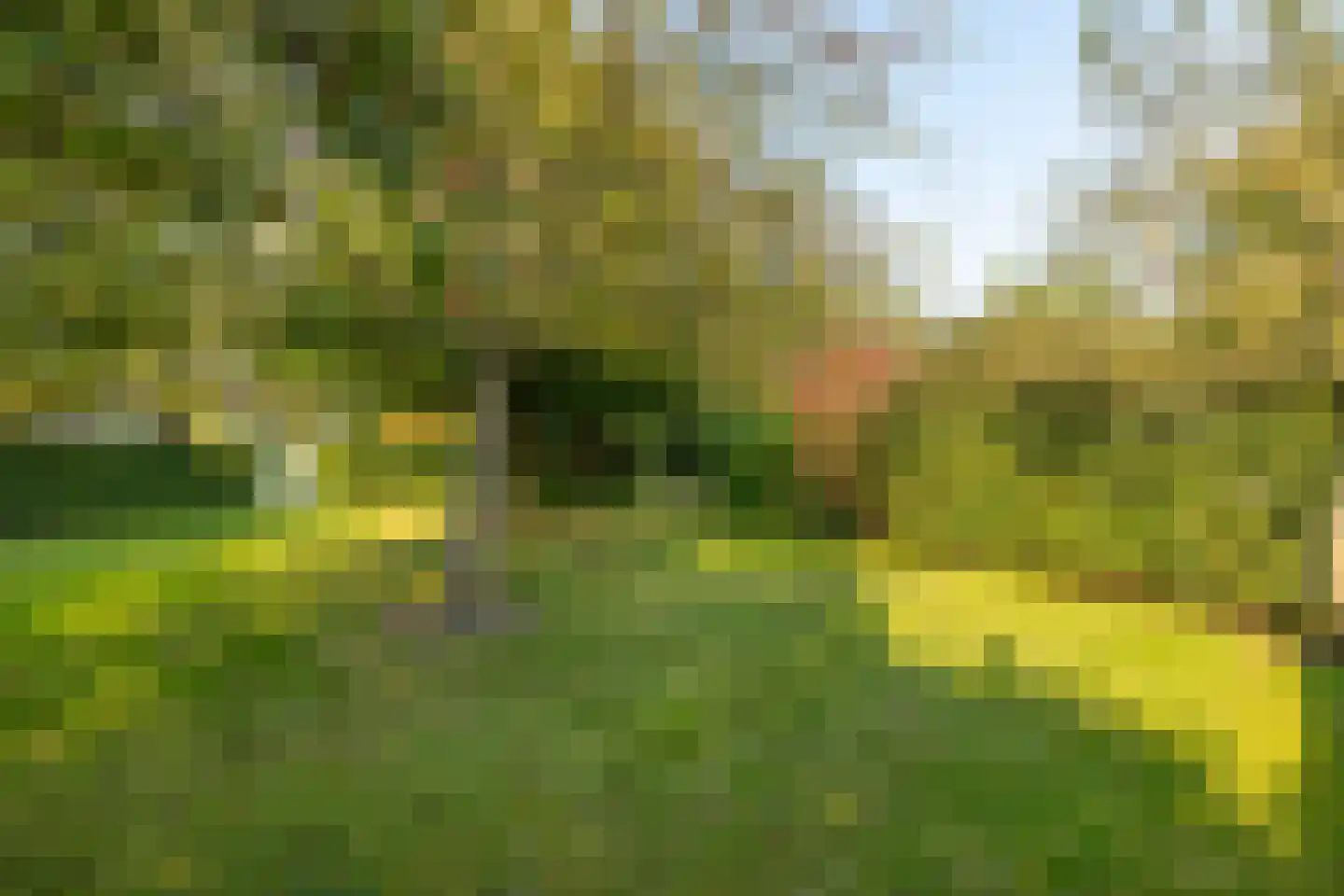 Oude Domburgseweg 6 Oostkapelle thumbnail 63