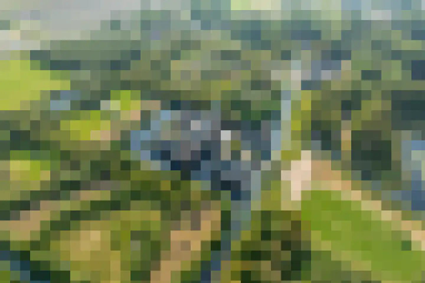 Oude Domburgseweg 6 Oostkapelle thumbnail 69