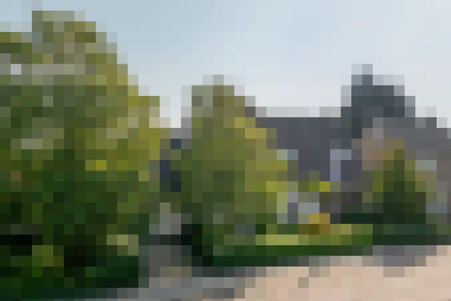 Oude Domburgseweg 6 Oostkapelle thumbnail 9