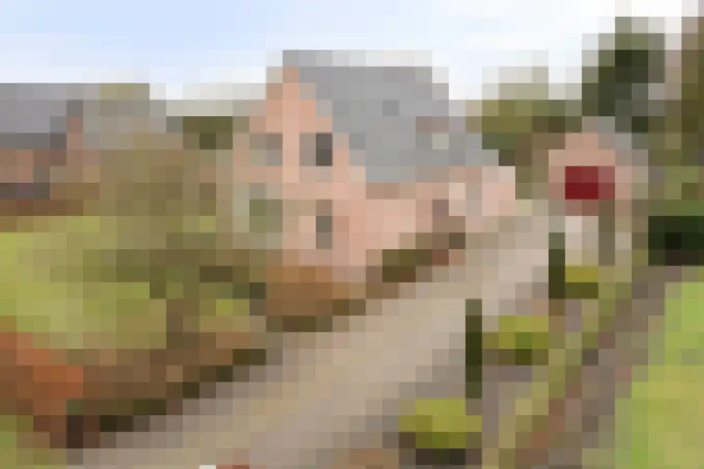 Oude Dordsedijk 16 Klazienaveen