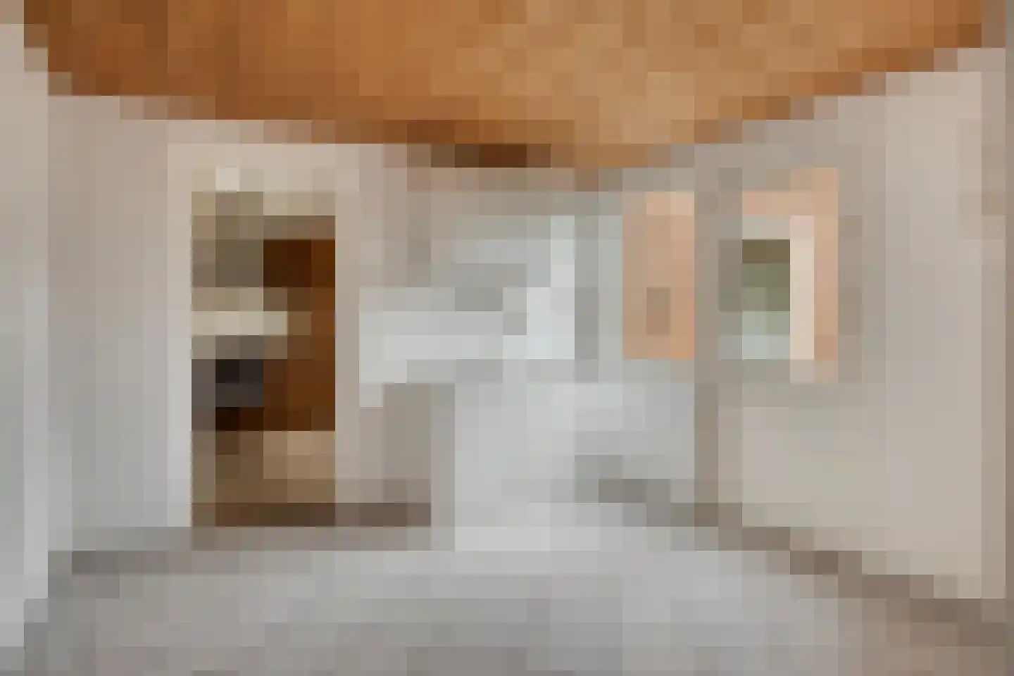 Oude Dordsedijk 16 Klazienaveen thumbnail 10