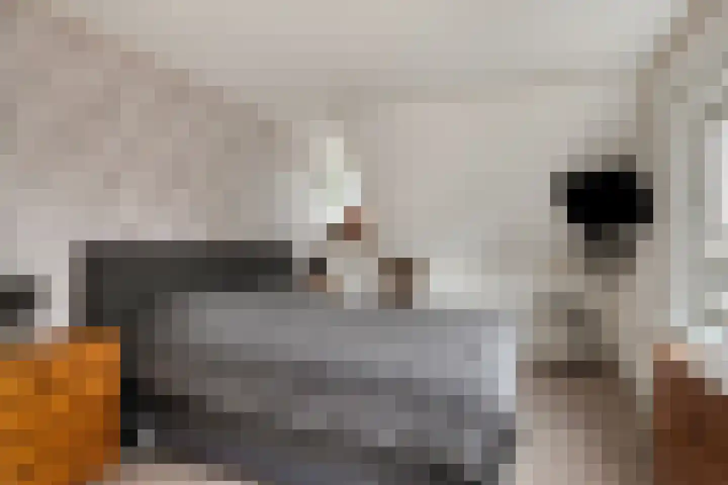 Oude Dordsedijk 16 Klazienaveen thumbnail 11