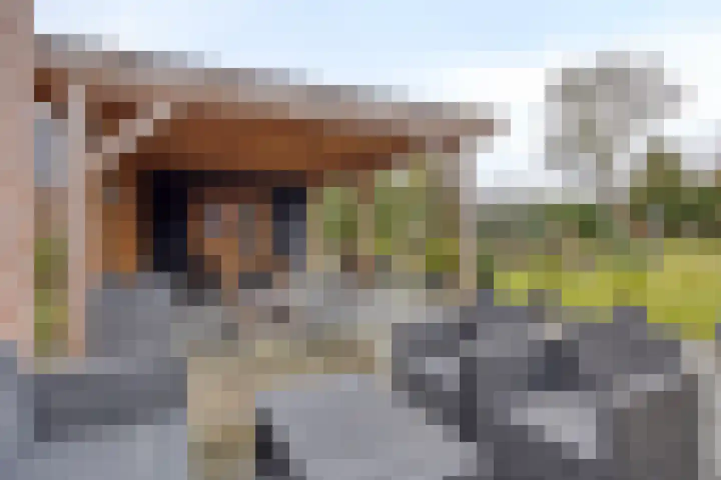 Oude Dordsedijk 16 Klazienaveen thumbnail 18