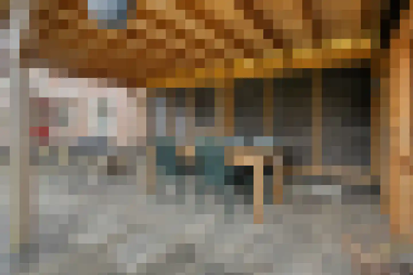 Oude Dordsedijk 16 Klazienaveen thumbnail 19