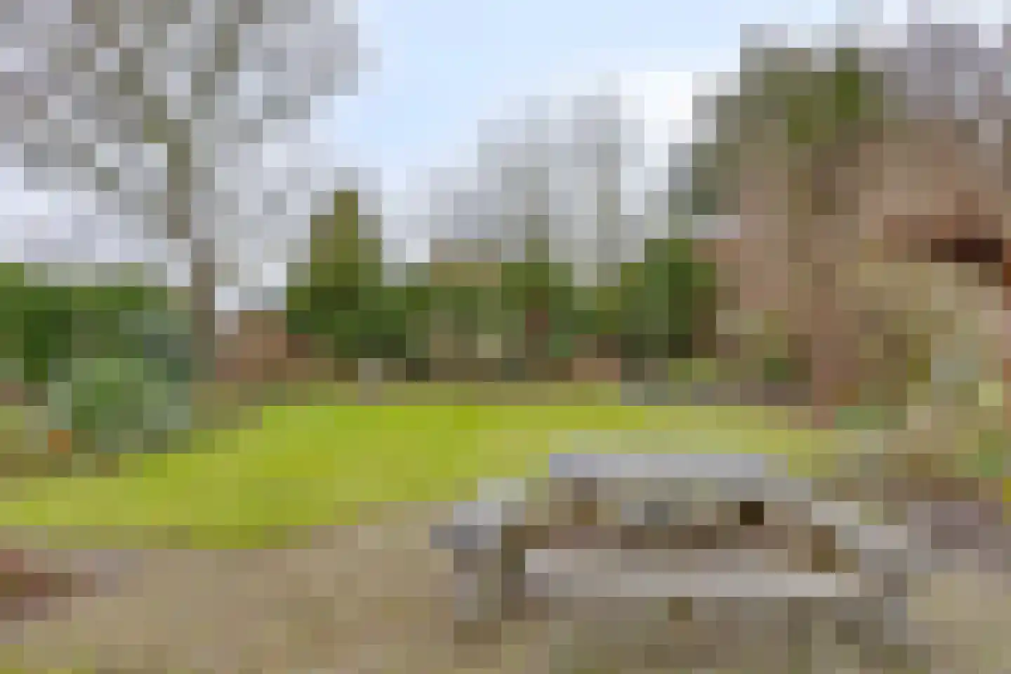 Oude Dordsedijk 16 Klazienaveen thumbnail 21