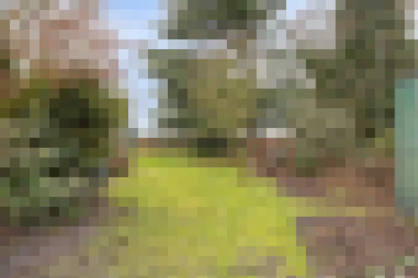 Oude Dordsedijk 16 Klazienaveen thumbnail 27