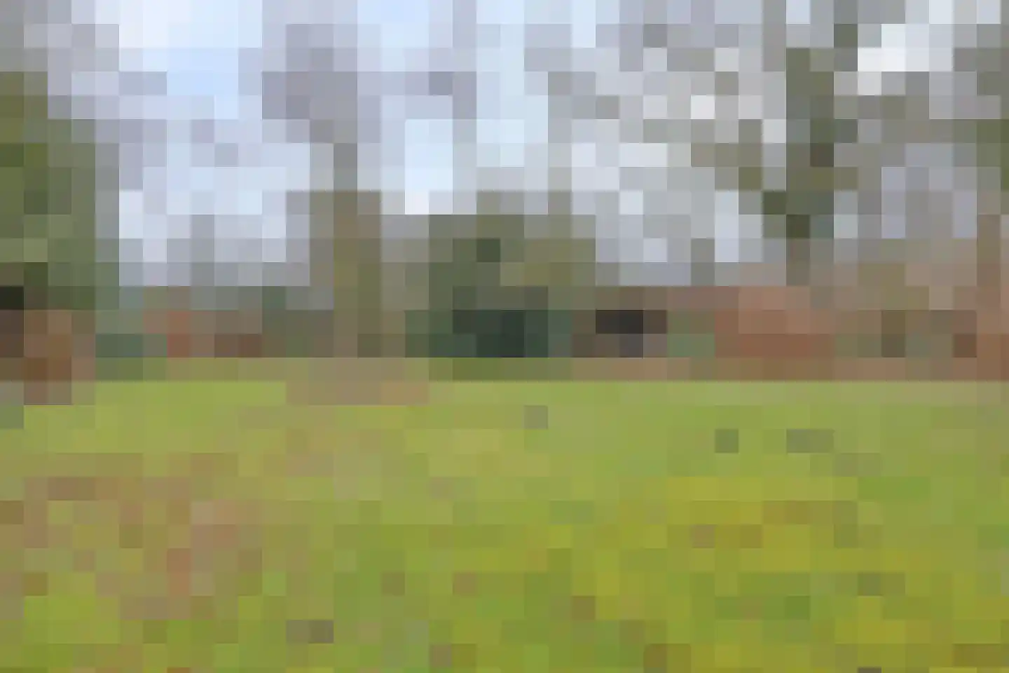 Oude Dordsedijk 16 Klazienaveen thumbnail 28
