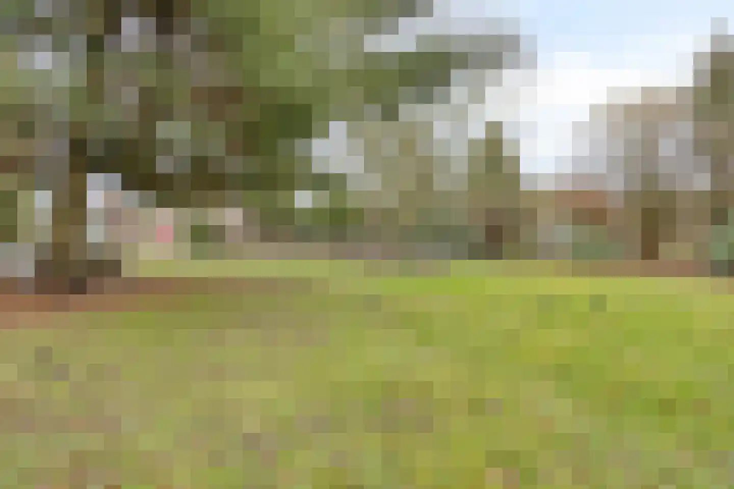 Oude Dordsedijk 16 Klazienaveen thumbnail 29