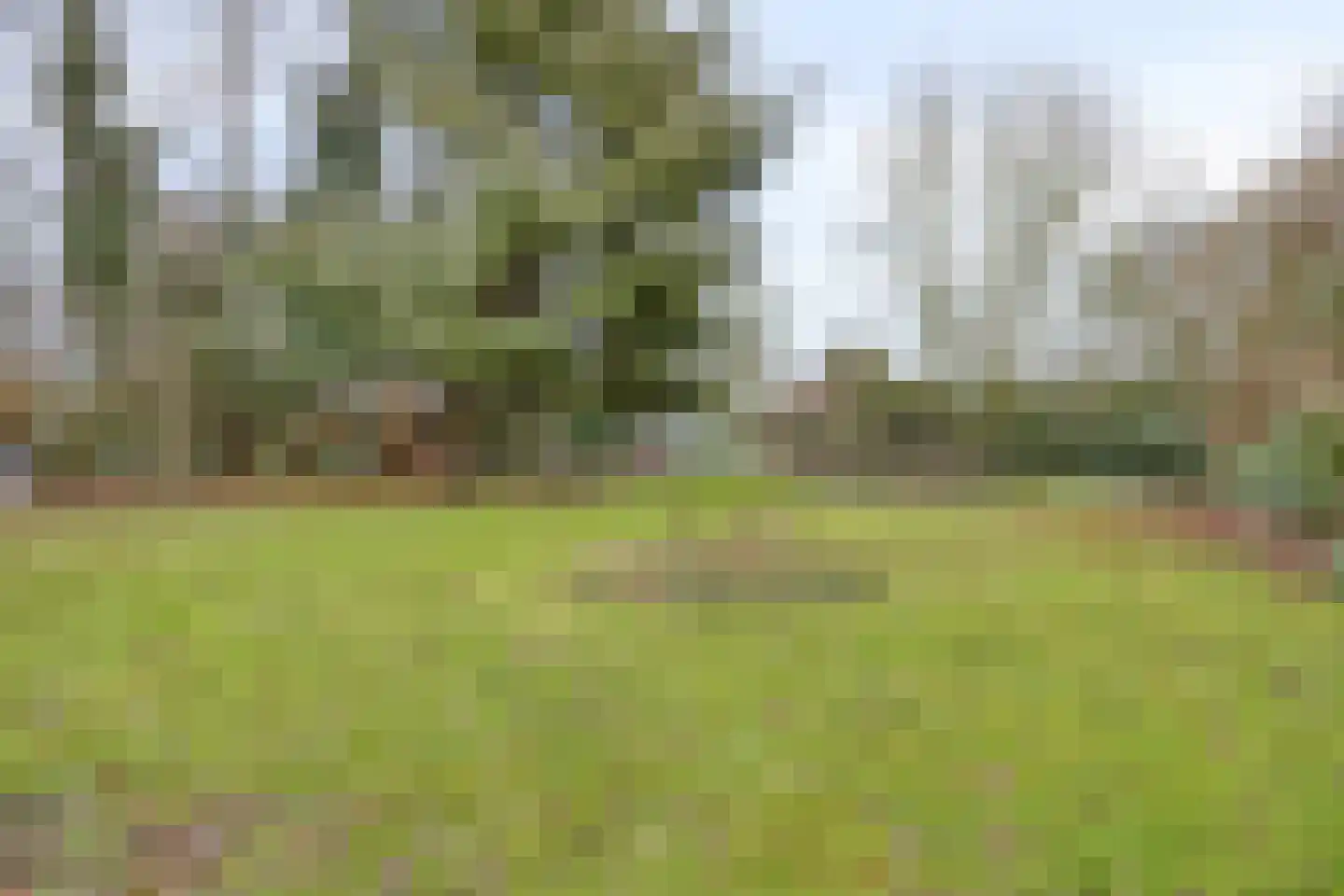 Oude Dordsedijk 16 Klazienaveen thumbnail 30