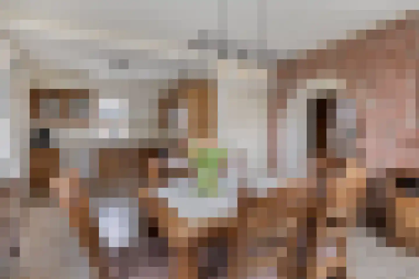 Oude Dordsedijk 16 Klazienaveen thumbnail 6