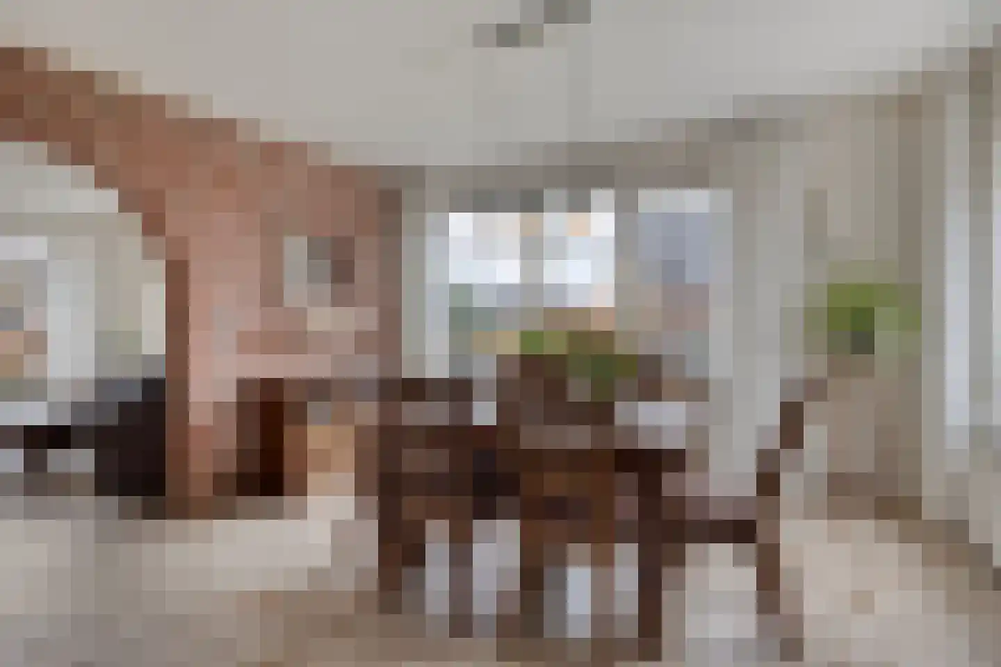 Oude Dordsedijk 16 Klazienaveen thumbnail 7