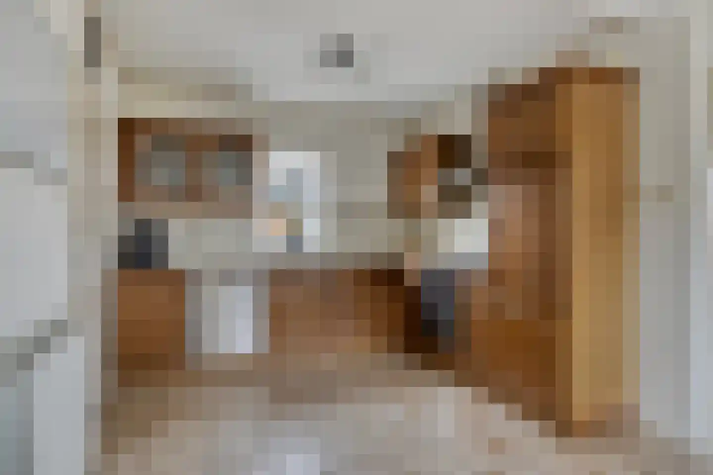 Oude Dordsedijk 16 Klazienaveen thumbnail 8