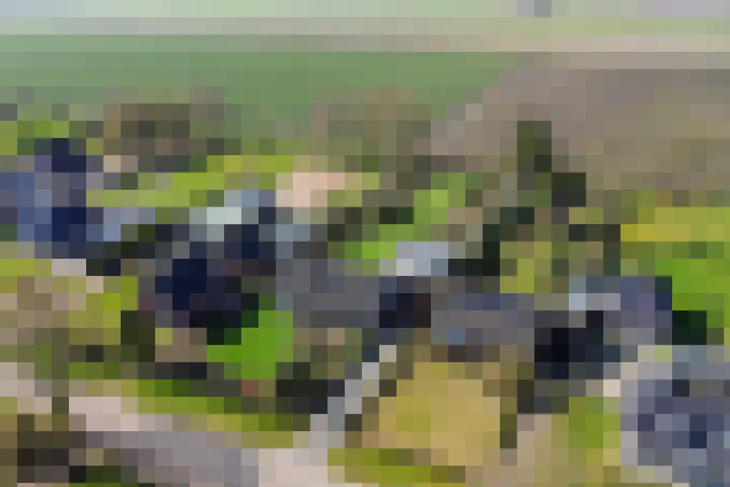 Oude Dordsedijk 28 Klazienaveen thumbnail 11