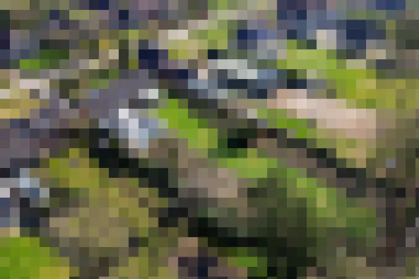 Oude Dordsedijk 28 Klazienaveen thumbnail 12