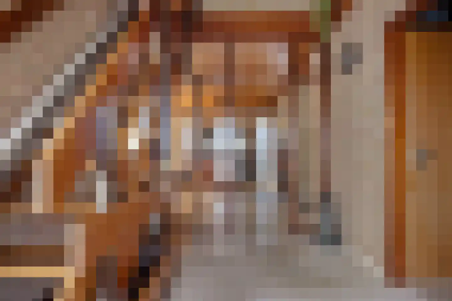 Oude Dordsedijk 28 Klazienaveen thumbnail 15
