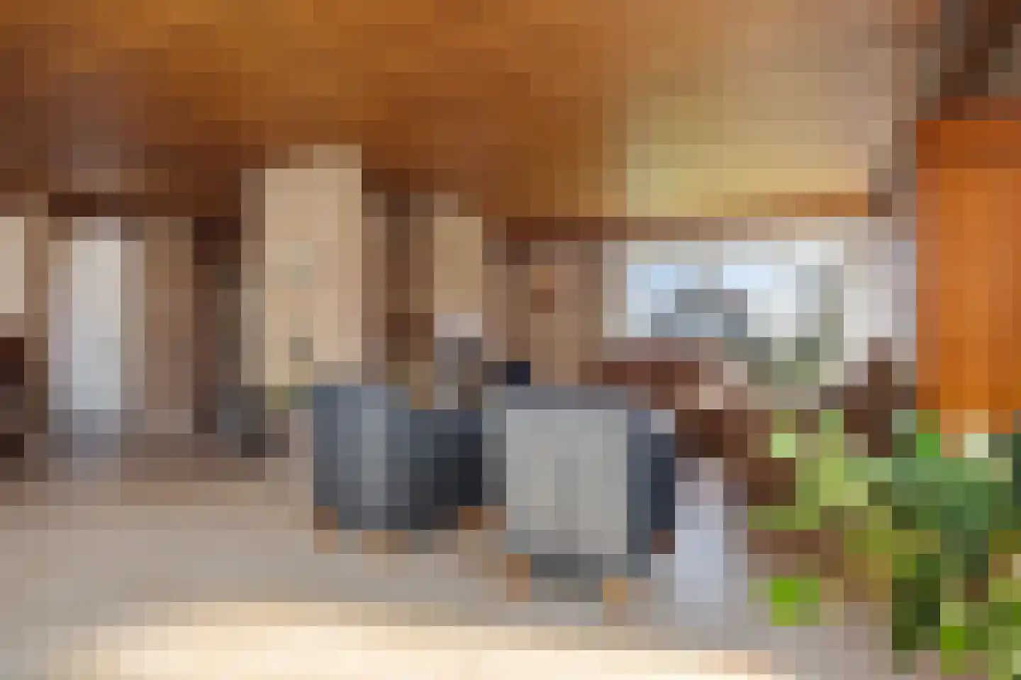 Oude Dordsedijk 28 Klazienaveen thumbnail 17
