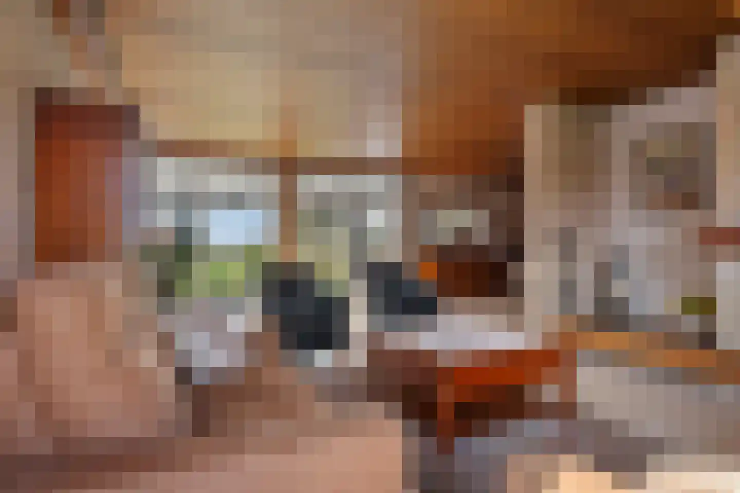 Oude Dordsedijk 28 Klazienaveen thumbnail 19