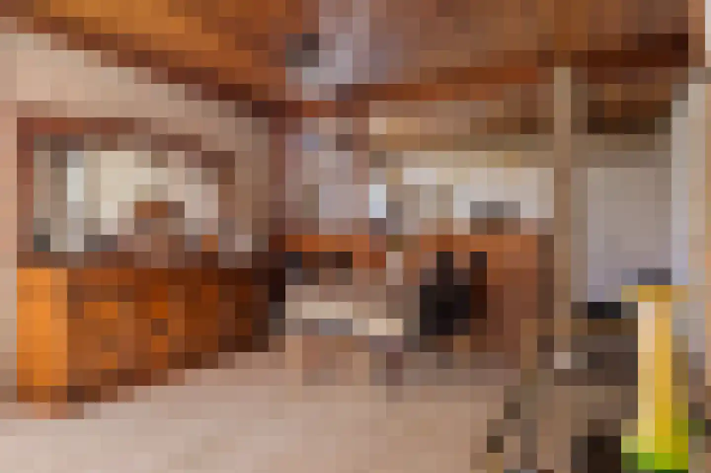 Oude Dordsedijk 28 Klazienaveen thumbnail 21