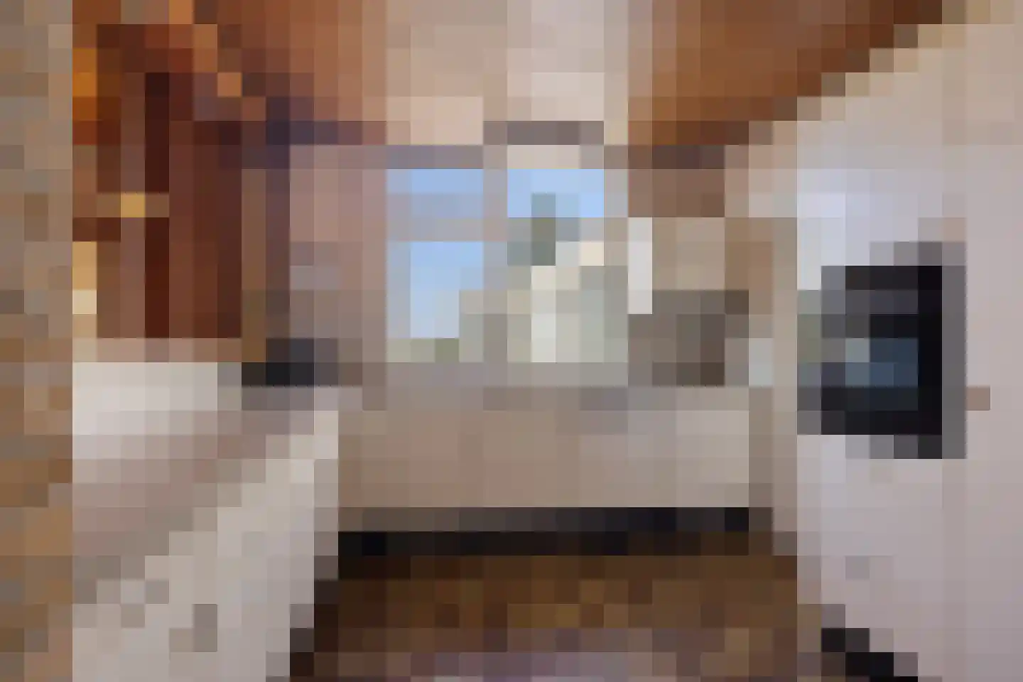 Oude Dordsedijk 28 Klazienaveen thumbnail 22