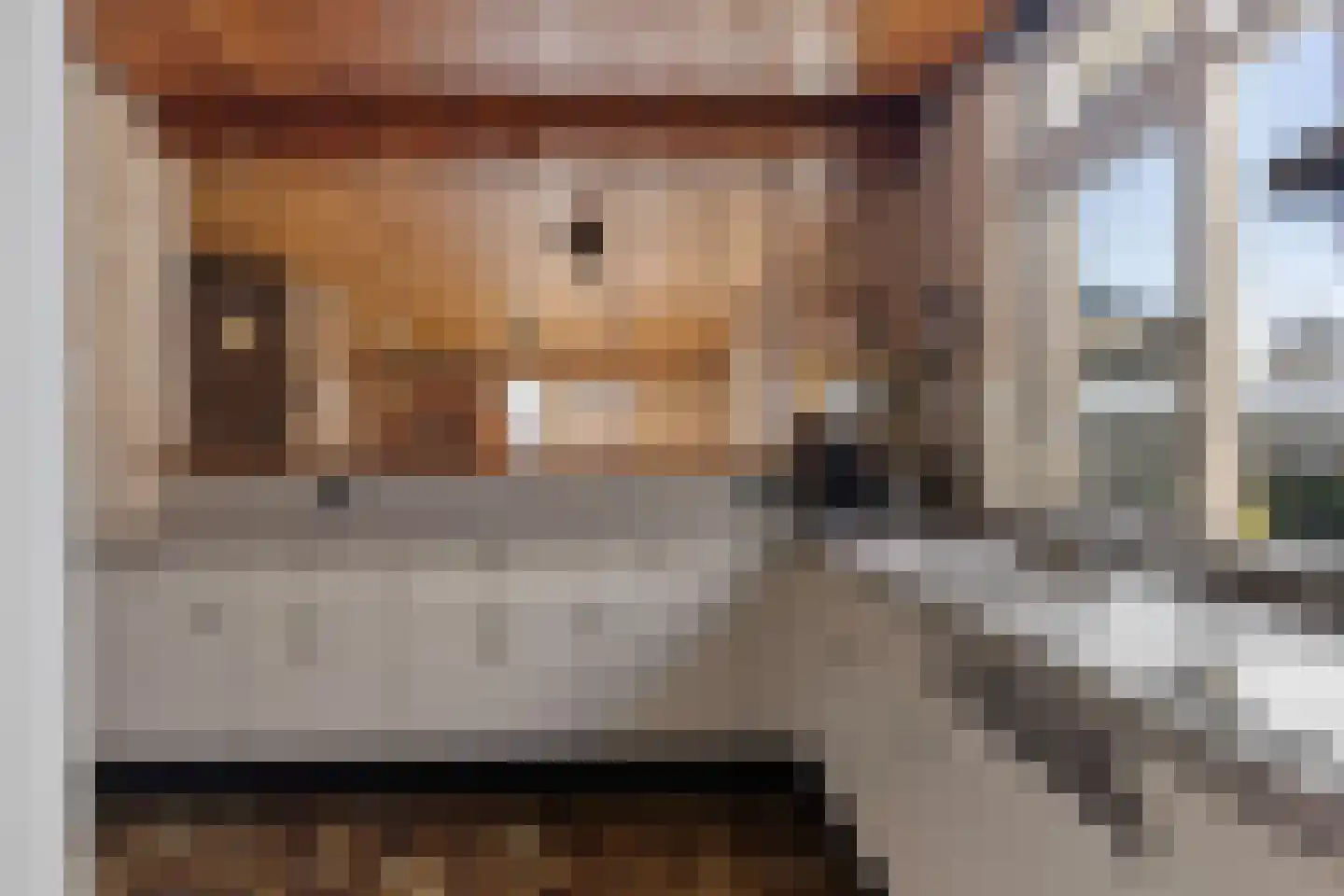 Oude Dordsedijk 28 Klazienaveen thumbnail 23