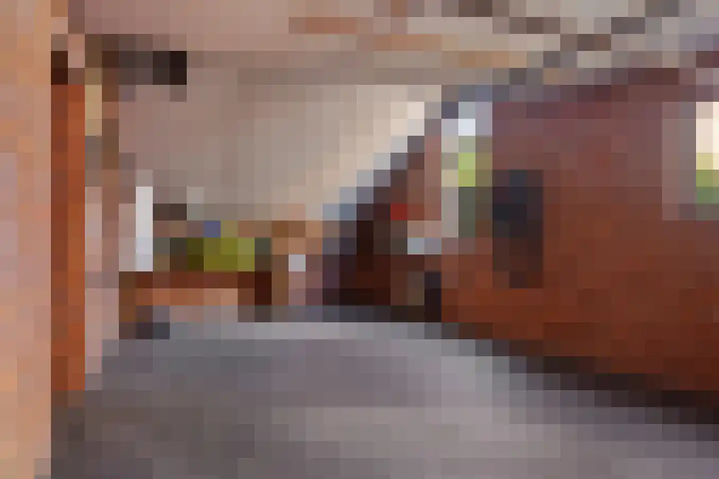 Oude Dordsedijk 28 Klazienaveen thumbnail 26