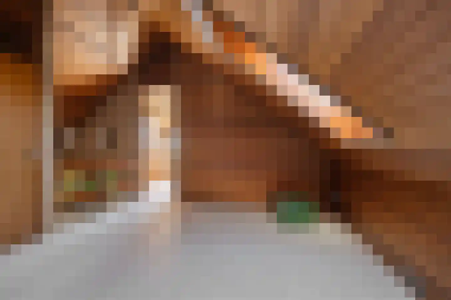 Oude Dordsedijk 28 Klazienaveen thumbnail 43