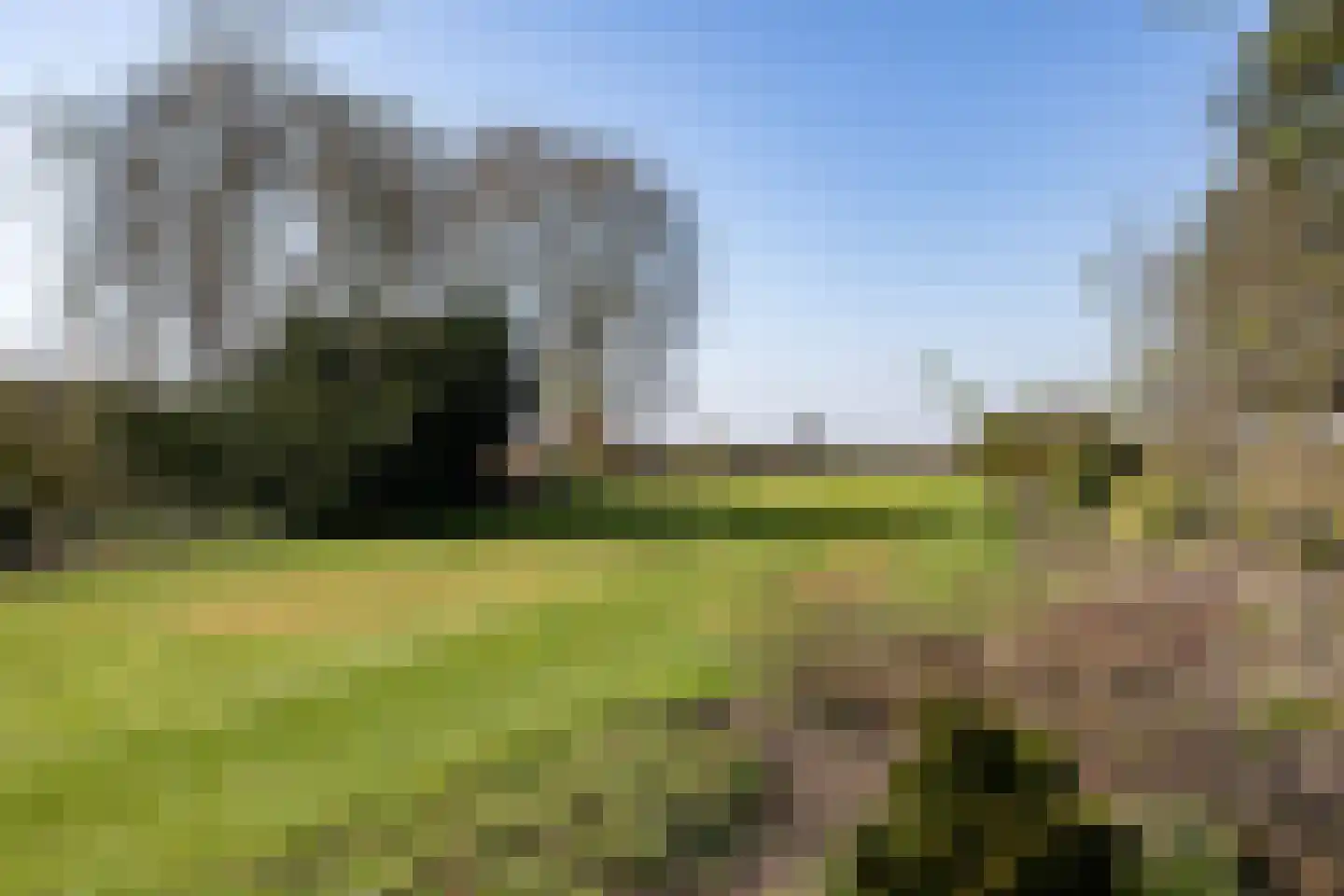 Oude Dordsedijk 28 Klazienaveen thumbnail 8