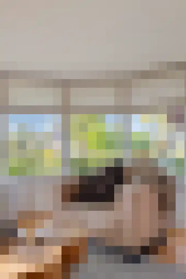 Oude Dordsedijk 29 Klazienaveen thumbnail 10