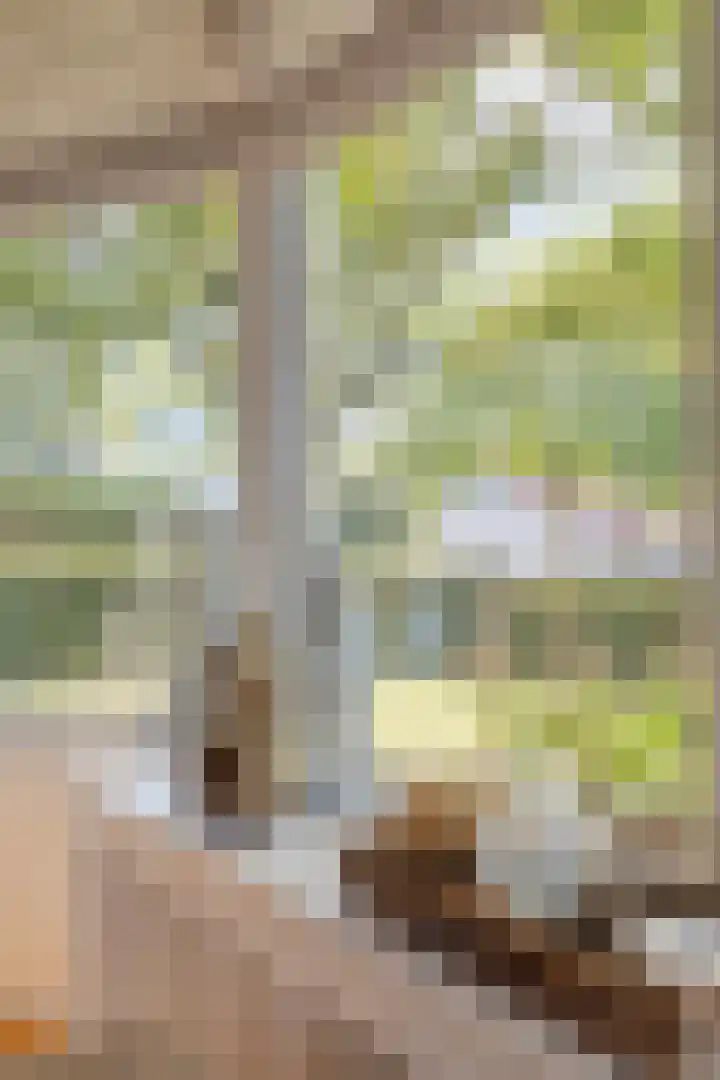 Oude Dordsedijk 29 Klazienaveen thumbnail 14