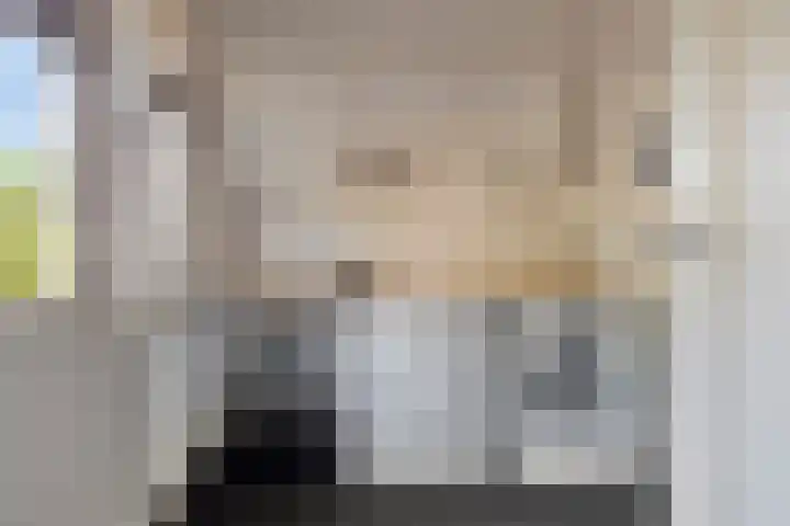 Oude Dordsedijk 29 Klazienaveen thumbnail 18