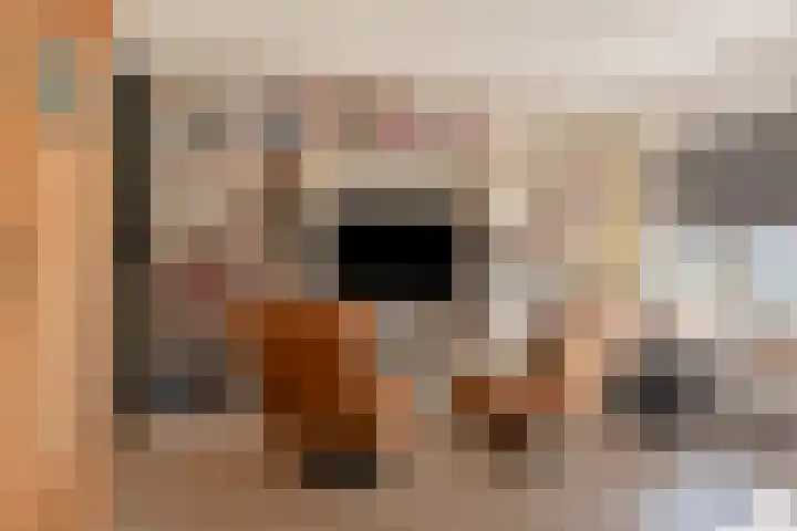 Oude Dordsedijk 29 Klazienaveen thumbnail 19