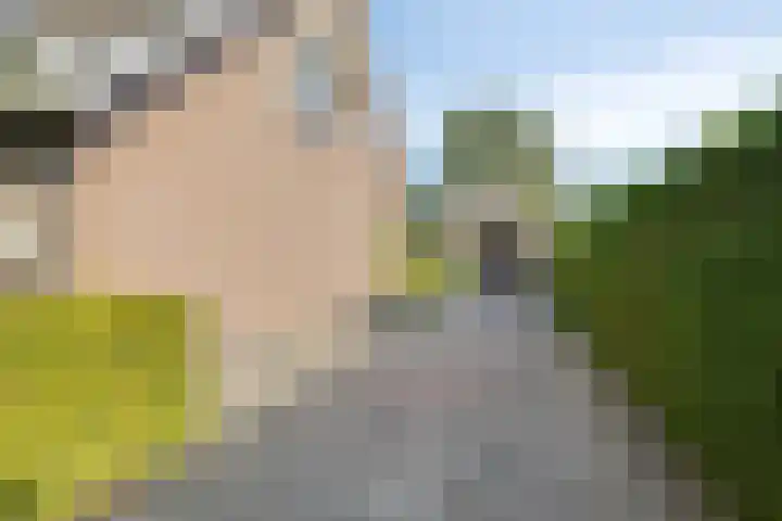 Oude Dordsedijk 29 Klazienaveen thumbnail 32