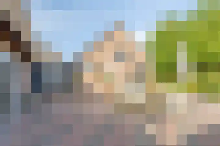 Oude Dordsedijk 29 Klazienaveen thumbnail 35