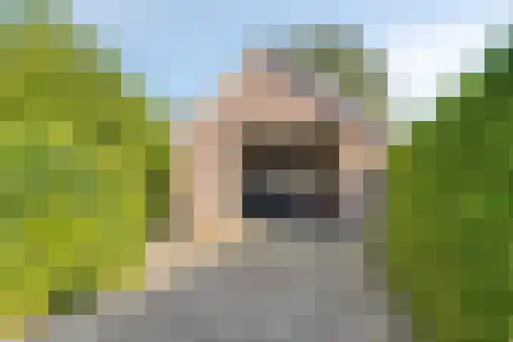 Oude Dordsedijk 29 Klazienaveen thumbnail 36