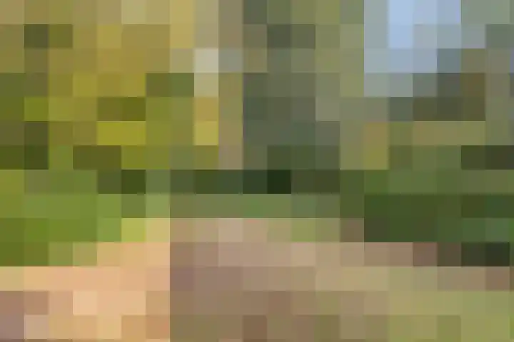 Oude Dordsedijk 29 Klazienaveen thumbnail 38