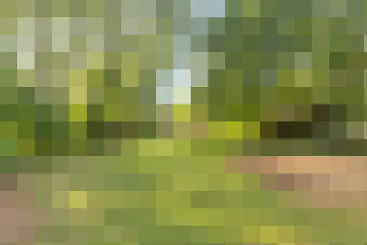 Oude Dordsedijk 29 Klazienaveen thumbnail 39